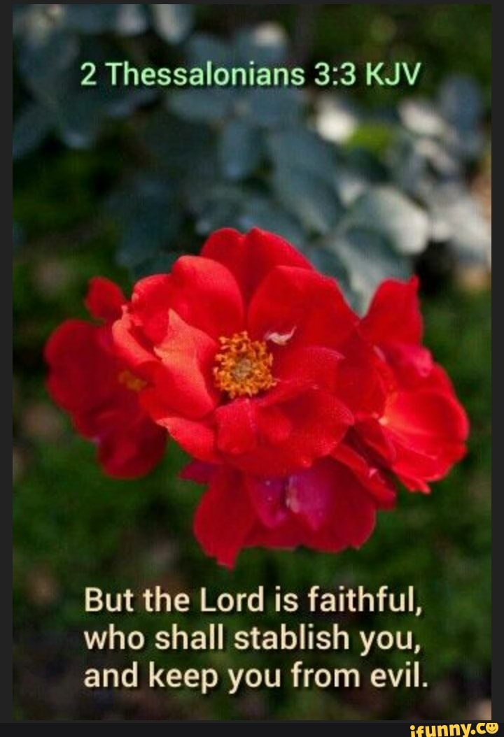 2 Thessalonians KJV But the Lord is faithful, who shall stablish you ...