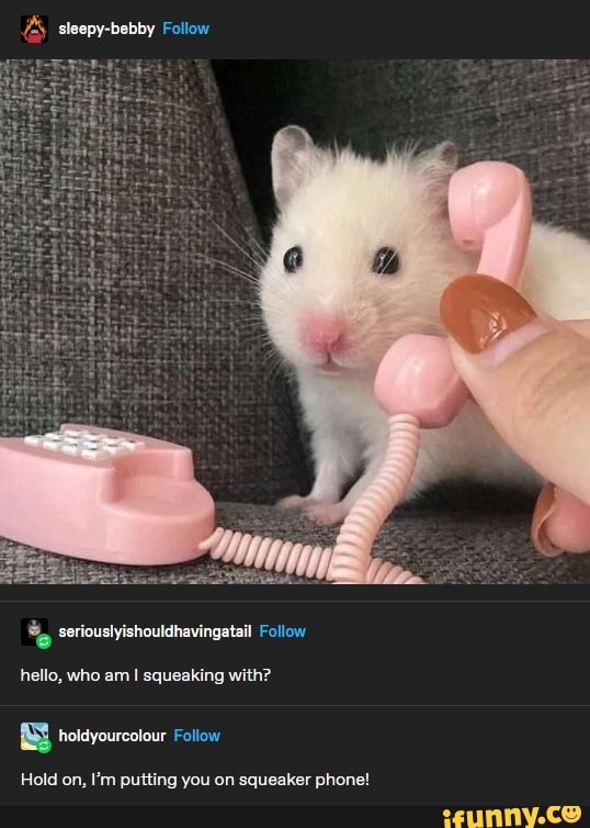Squeaker memes. Best Collection of funny Squeaker pictures on iFunny