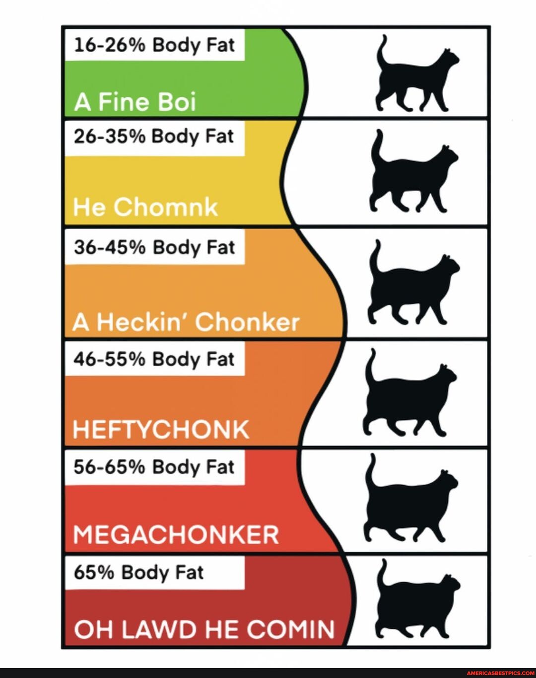 Funny Cats Meme, Chonk Cat Chart Poster