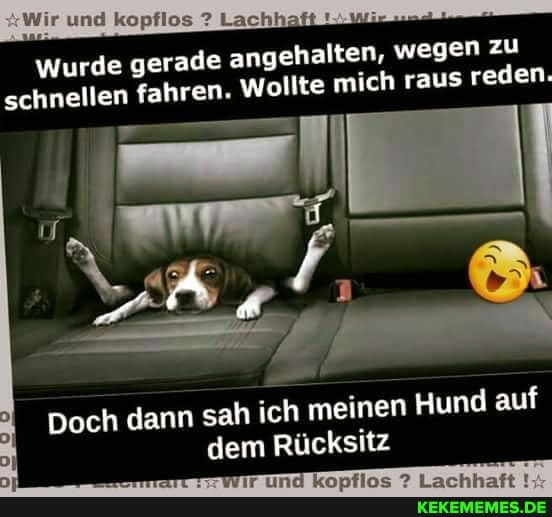 und
Wurde gerade angehalten, wegen zu schnellen fahren. Wollte mich raus reden.
sah meinen Hund auf dem Rücksitz
Doch dann sah ich
