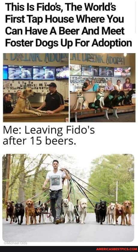 This Is Fidos, The World's
First Tap House Where You
Can Have A Beer And Meet
Foster Dogs Up For Adoption
Me: Leaving Fido's
after 15 beers.