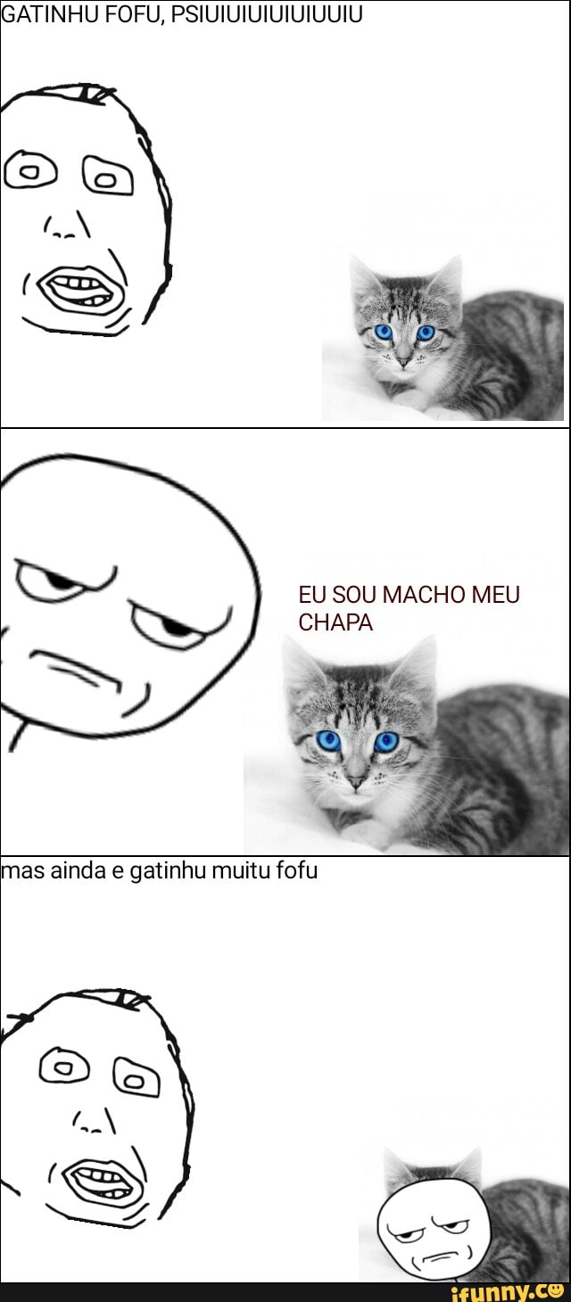 EU SOU MACHO MEU
mas ainda e gatinhu muitu fofu