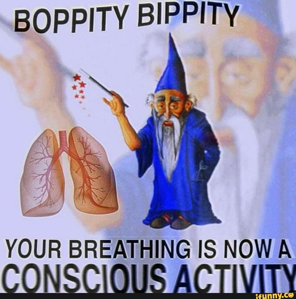 BOPPITY BIPPITY YOUR BREATHING IS NOW A CONSCIOUS ACTIVITY iFunny