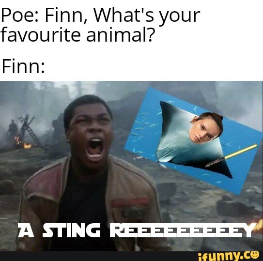 Poe: Finn, What's your favourite animal? Finn: - iFunny