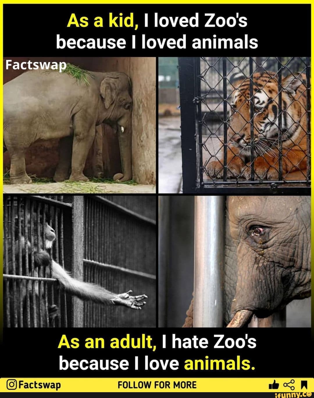 Hate animals. I hate animals. Meet Zoo lover.