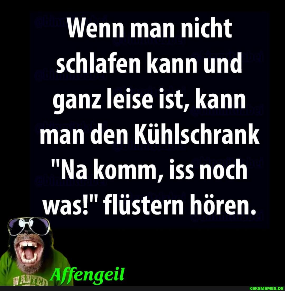 Wenn man nicht schlafen kann und ganz leise ist, kann
man den Kühlschrank
"Na komm, iss noch was!" flüstern hören.
Affenaeil