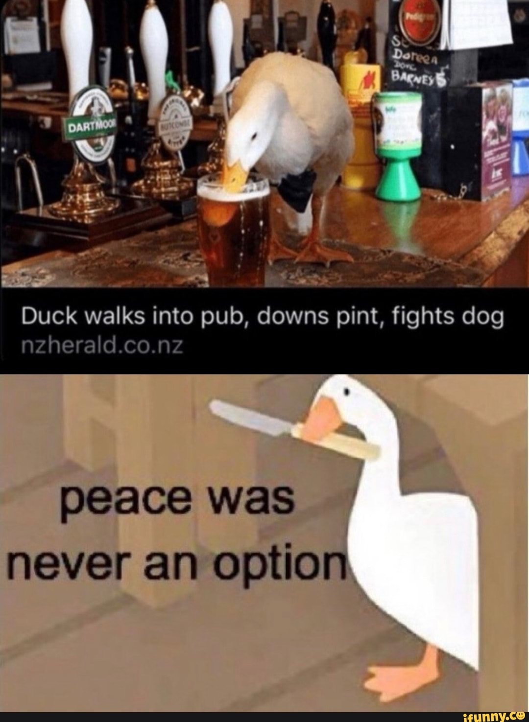 Duck walks into pub, downs pint, fights dog
peace was I
never an option.