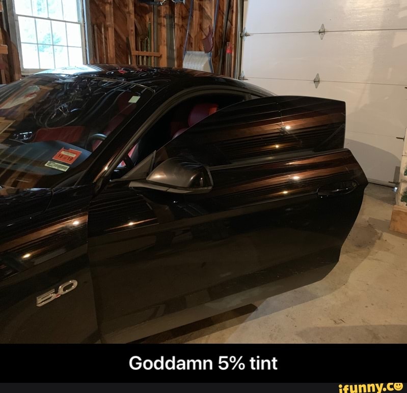 goddamn 5 tint ifunny ifunny