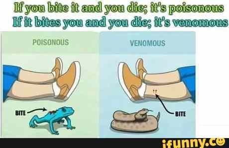 Bf bite it and you die; it's poisonous
Ifit bites you and you die; ft's venomous
POISONOUS VENOMOUS: