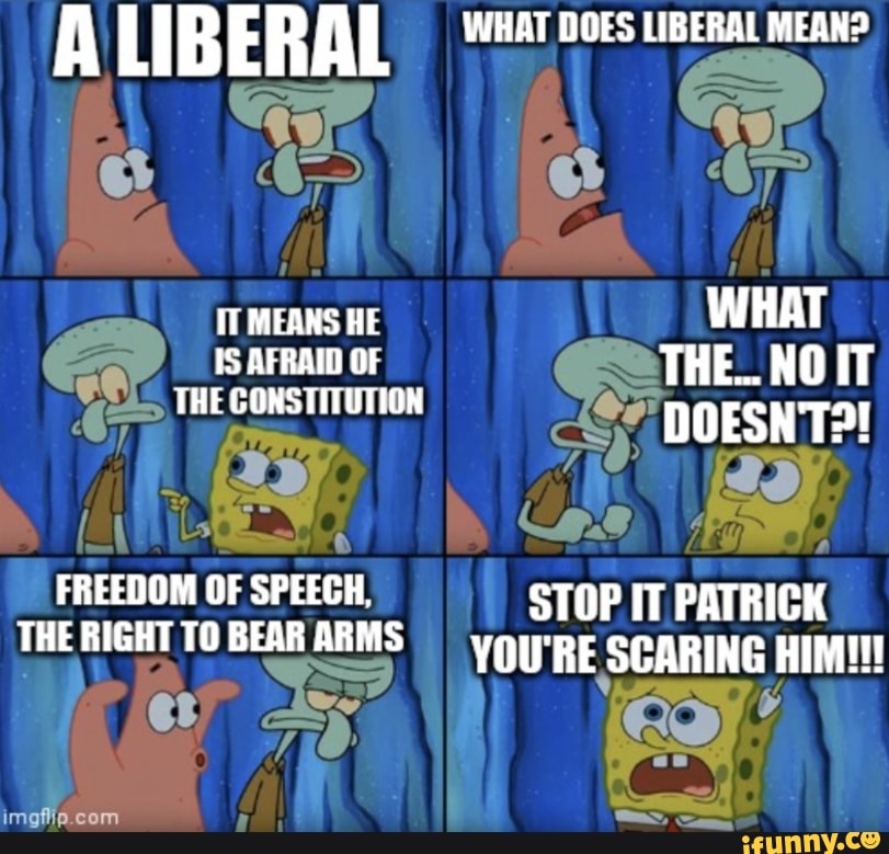 a-liberal-it-means-he-is-afraid-of-the-gorstitution-freedom-of-speegh