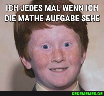 ICH JEDES MAL WENN ICH DIE MATHE AUFGABE SEHE
