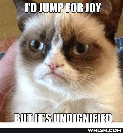 I'D JUMP FOR JOY
BUTIT'S UNDIGNIEIED