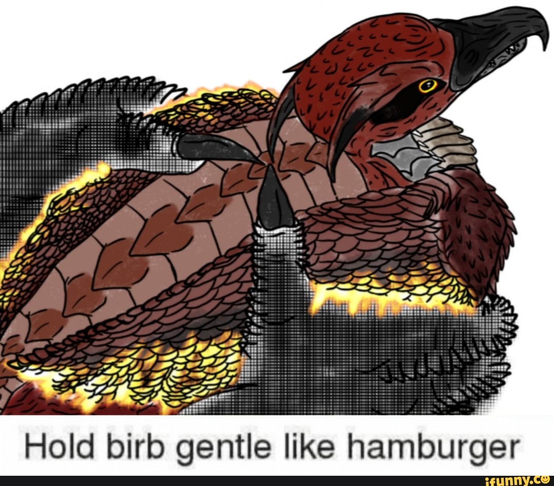 Hold Me Gentle Like Hamburger