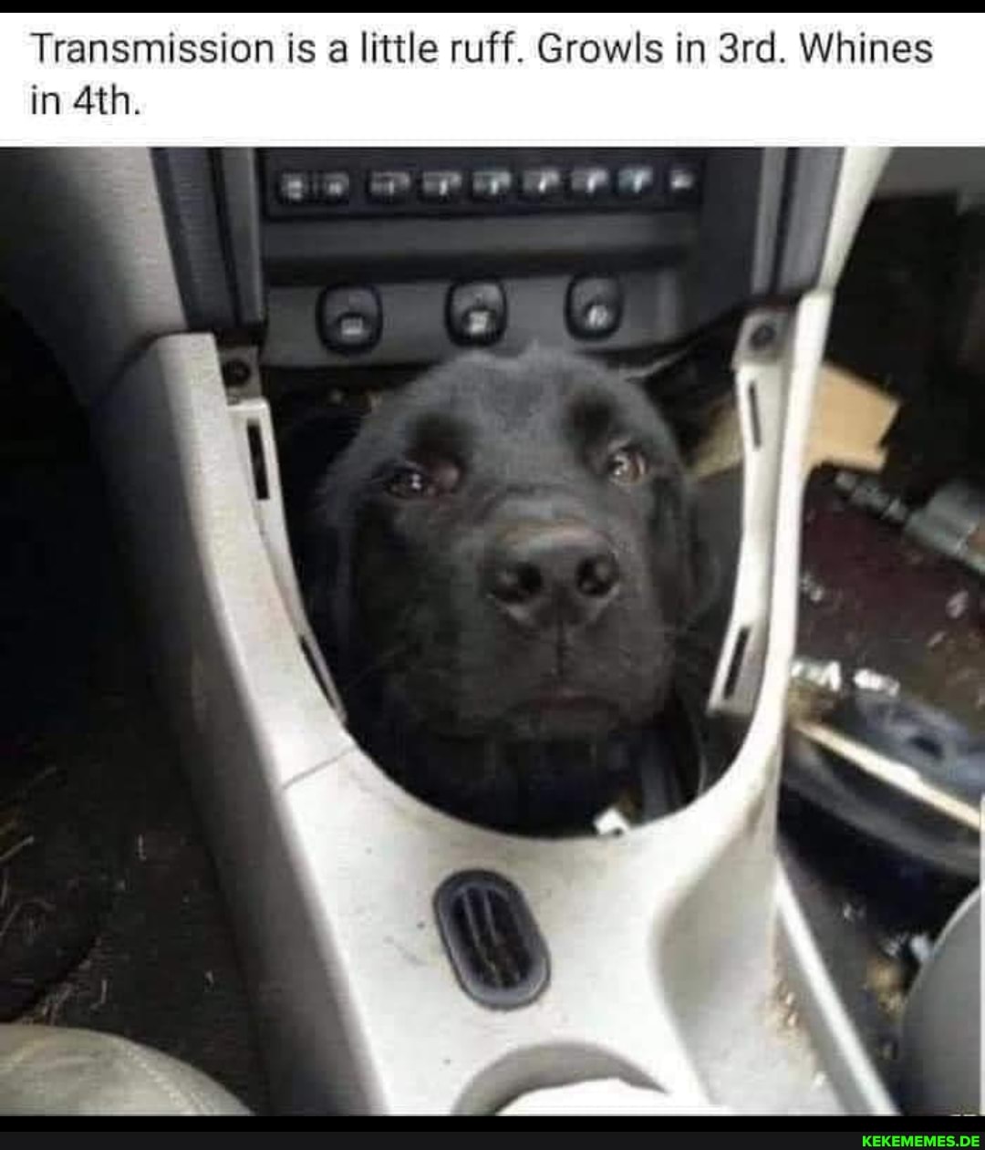 Transmission is a little ruff. Growls in Whines in