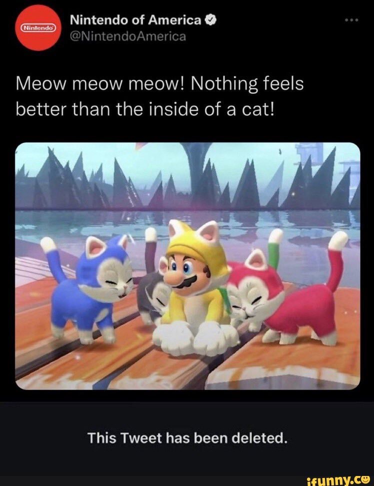 nintendo-of-america-nintendoamerica-meow-meow-meow-nothing-feels