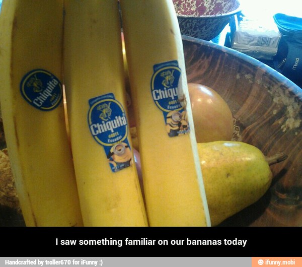 I saw something familiar on our bananas today - I saw something familiar on our bananas today