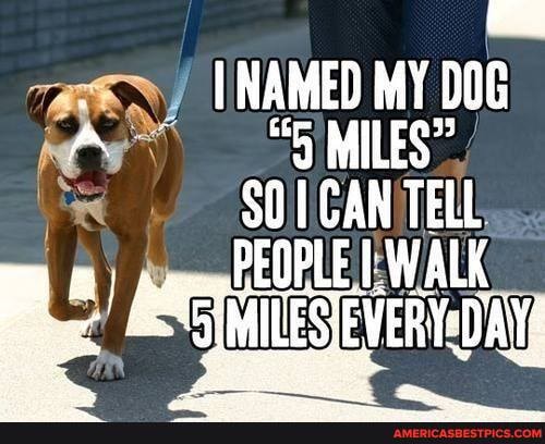 I NAMED MY DOG MILES"
CAN TELL
WALK