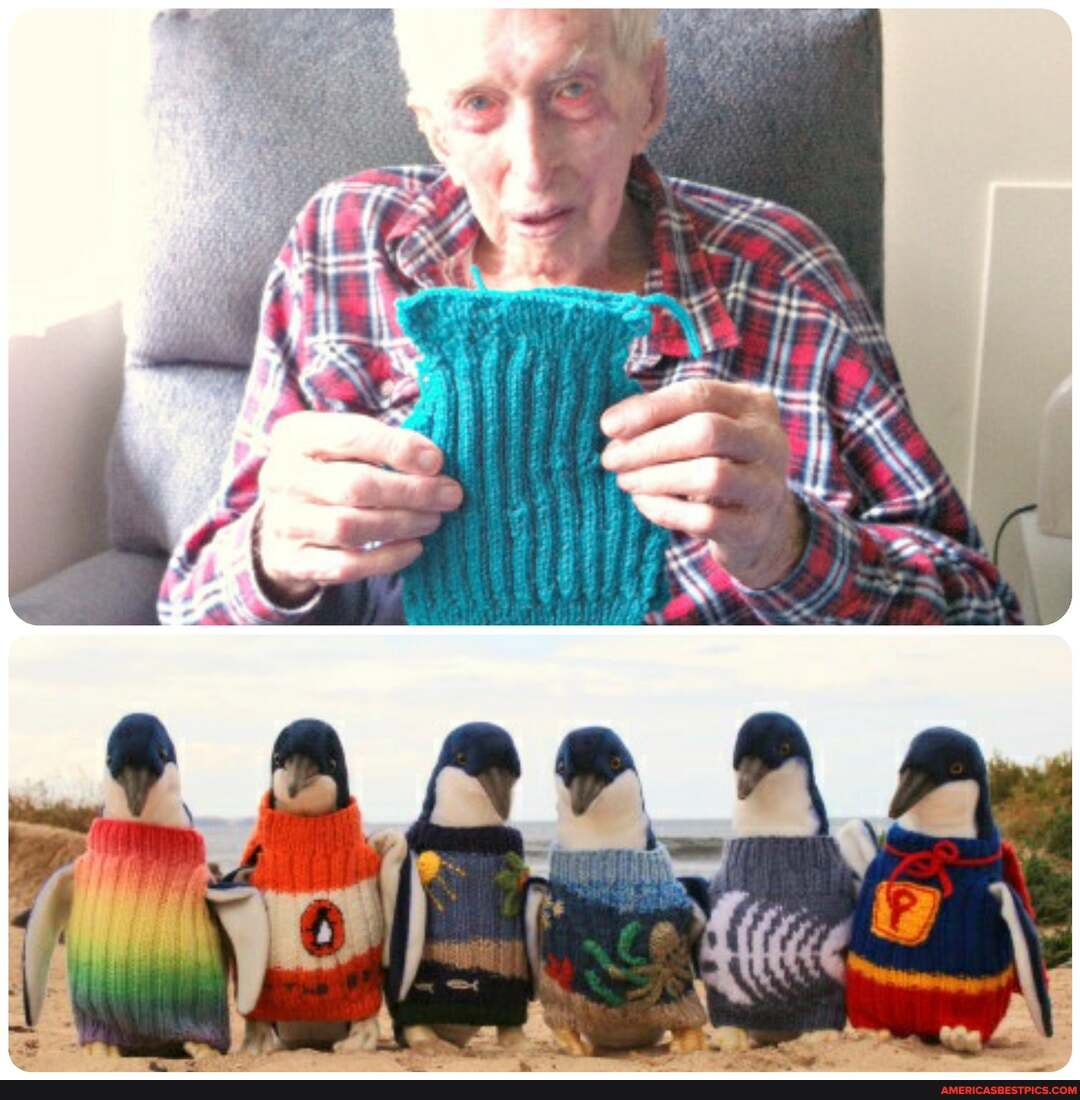 max, kruger, australia, oldest, man, knits, tiny, sweaters, penguins