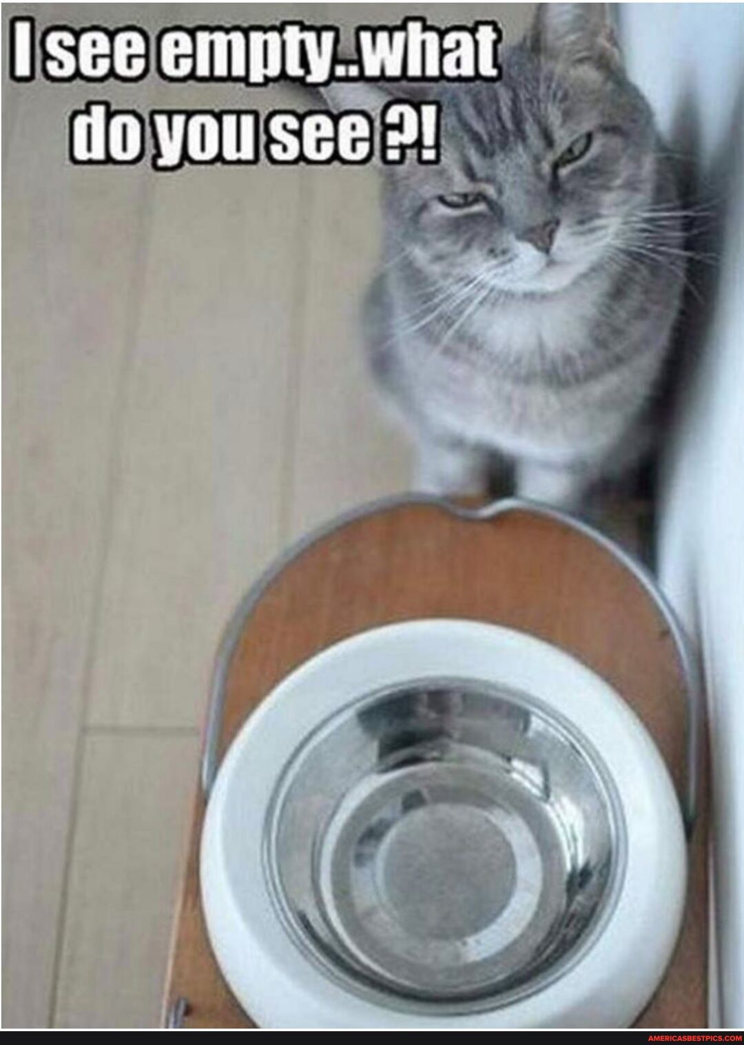 [see empty..what you see 2!