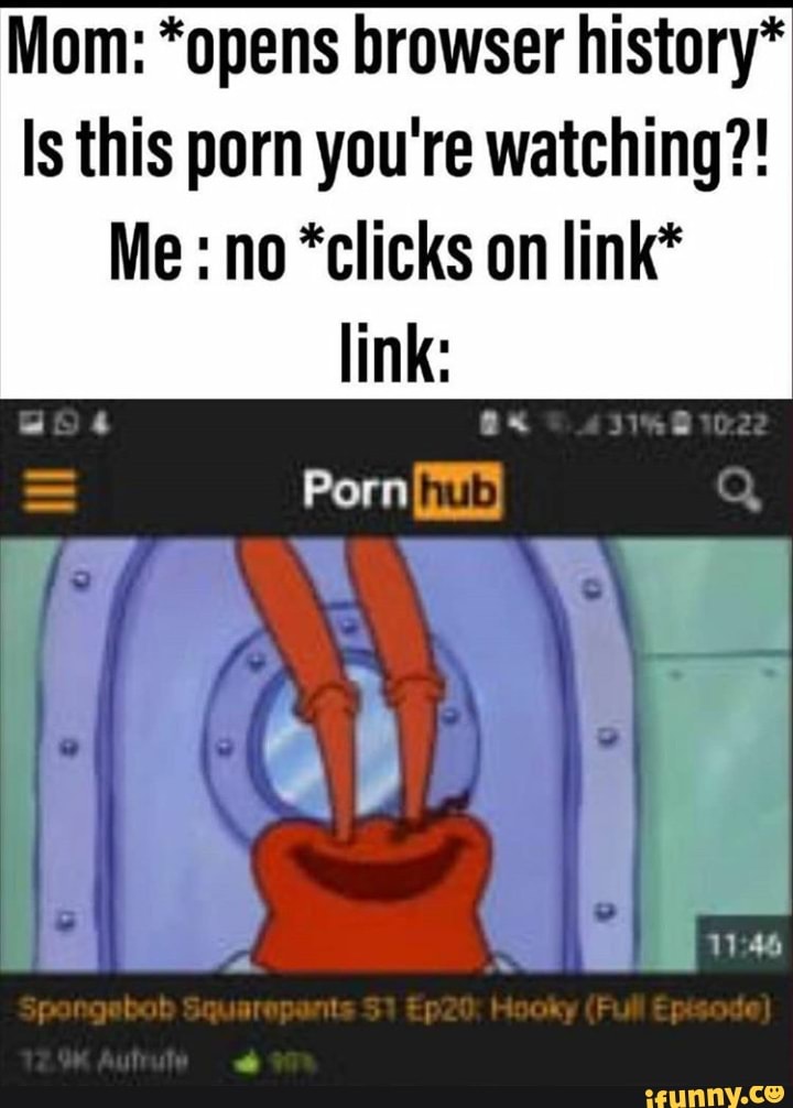 Mom: *opens browser history* Is this porn you're watching?! Me : no *clicks  on Iink* - iFunny