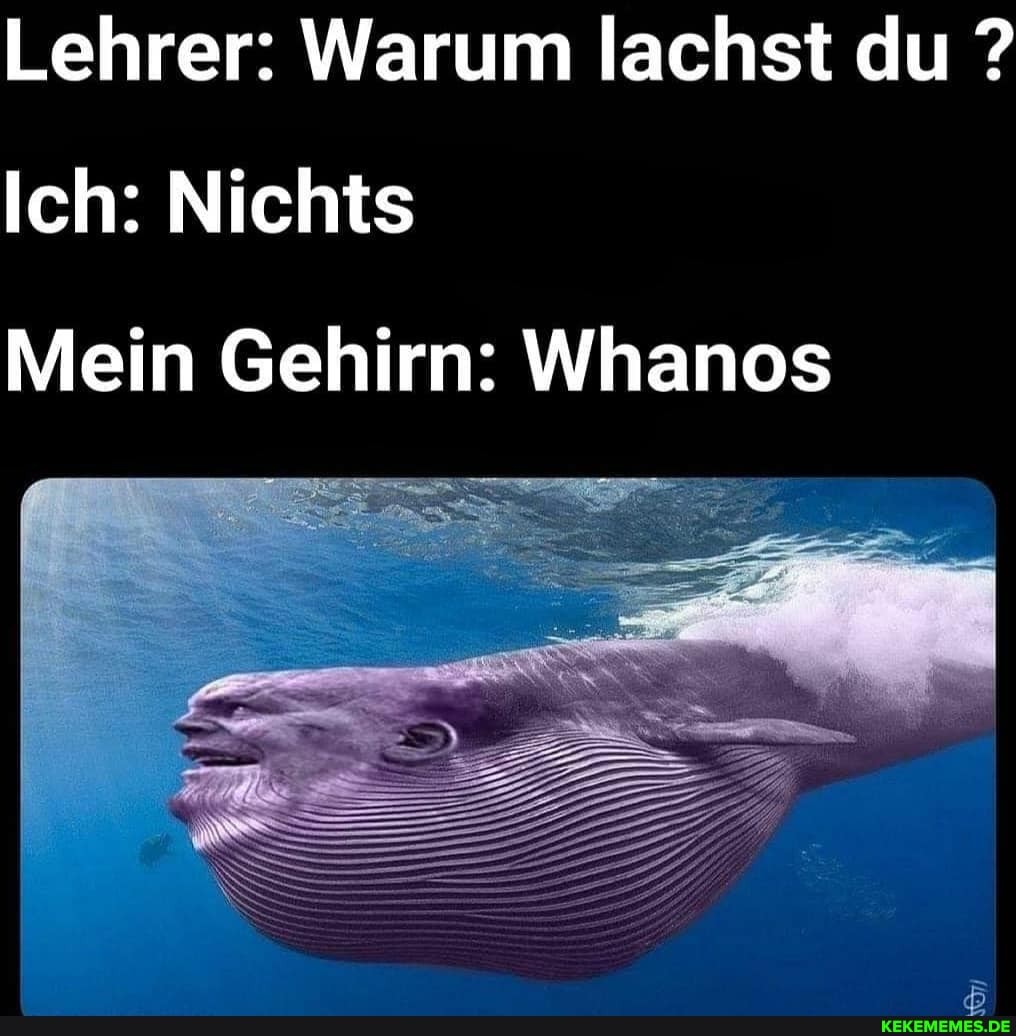 Lehrer: Warum lachst du ?
Ich: Nichts
Mein Gehirn: Whanos