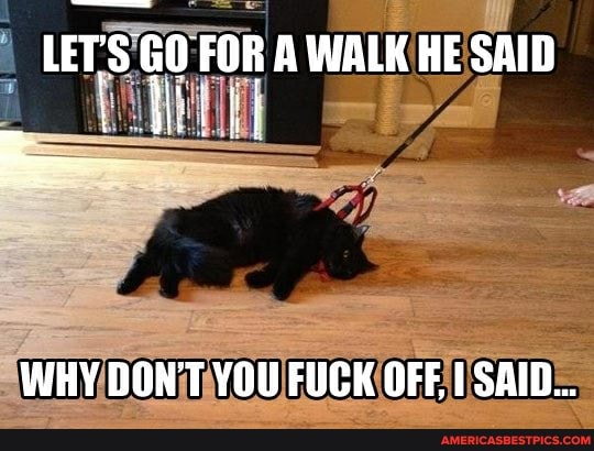 LET: FOR WALK HESAID
WHY DON'T YOU FUCK OFF, SAID...
