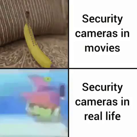 real life house cameras