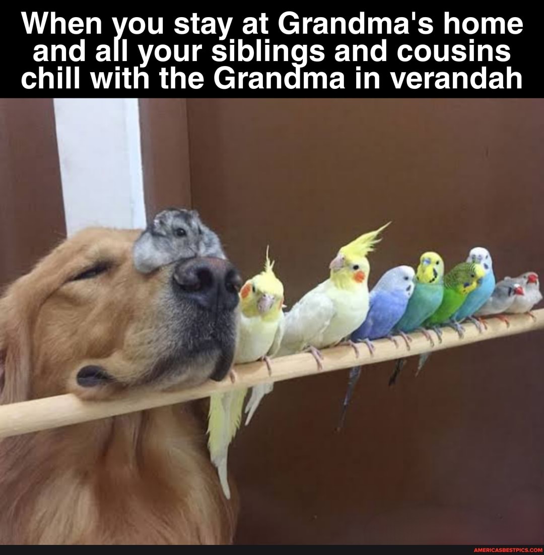 When you stay at Grandma's and home cousins and all your siblings and cousins chill with the Grandma in verandah
