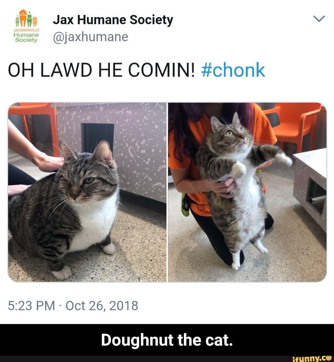 Oh Lawd He Comin Chonk Meme from img.ifunny.co. Oh Lawd He Comin Chonk Meme...
