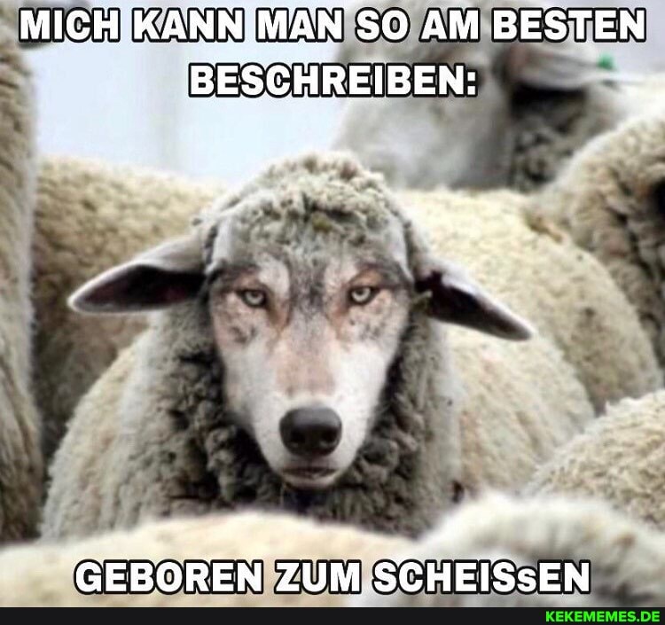 MICH KANN.MAN SO AM BESTEN
BE; HREIBEN
CEROREN ZUM STCHEISSEN