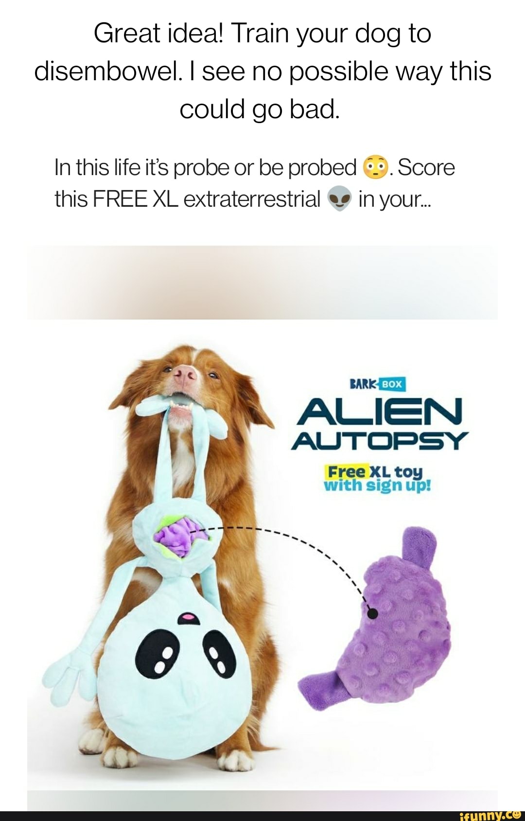 barkbox alien