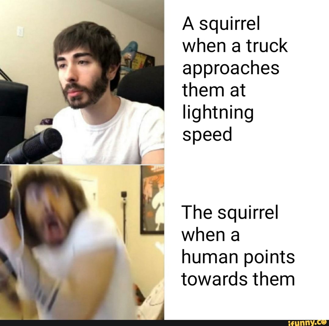 A squirrel
when a truck
approaches
them at
lightning
speed
The squirrel
when a
human points
towards them