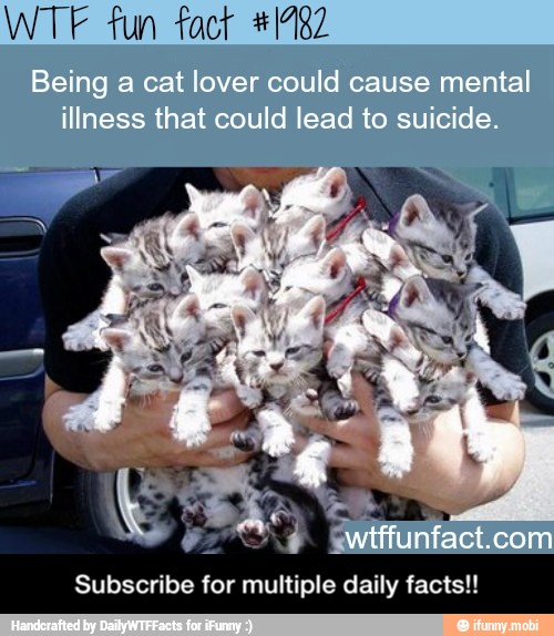 WTF fun fact #1482
Subscribe for multiple daily facts!! - Subscribe for multiple daily facts!!