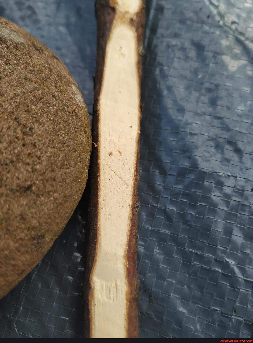 just, finished, carving, face, stick