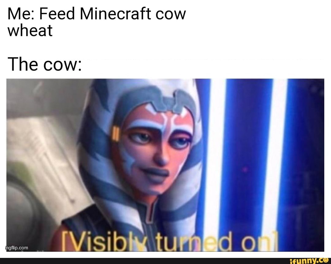 Me Feed Minecraft cow wheat The cow iFunny