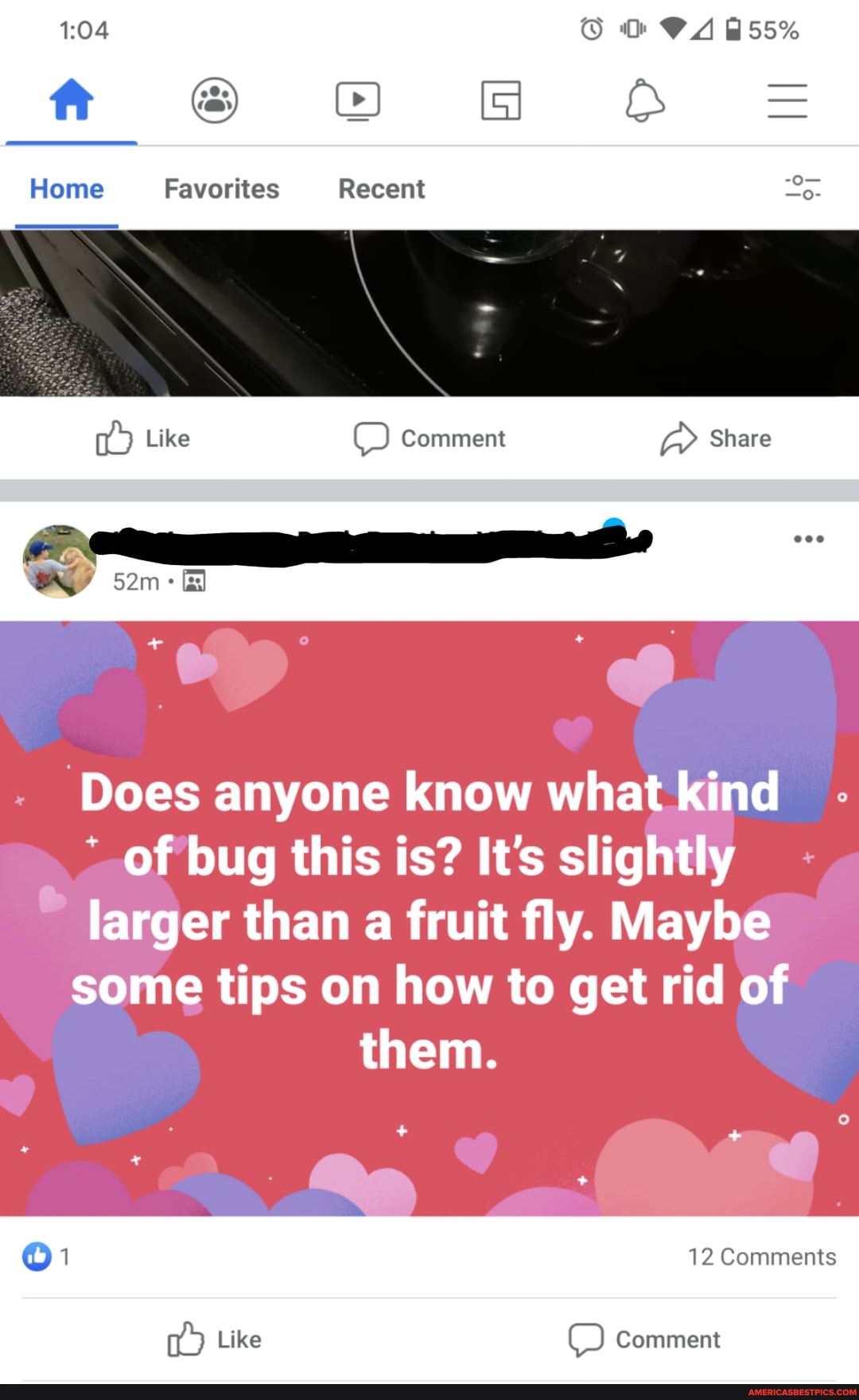 ff# @
lome Favorites
CA
55%
Recent
Comment
Share
Does anyone know what kind of bug this is? It's slightly larger than a fruit fly. Maybe
some tips on how to get rid of them.
+ f
12 Comments
Comment