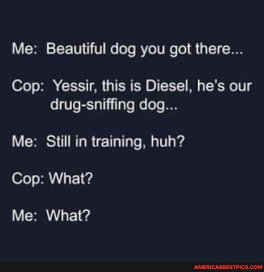 Me Beautiful dog you got there... Cop Yessir, this is Diesel, he's our drugsniffing dog... Me