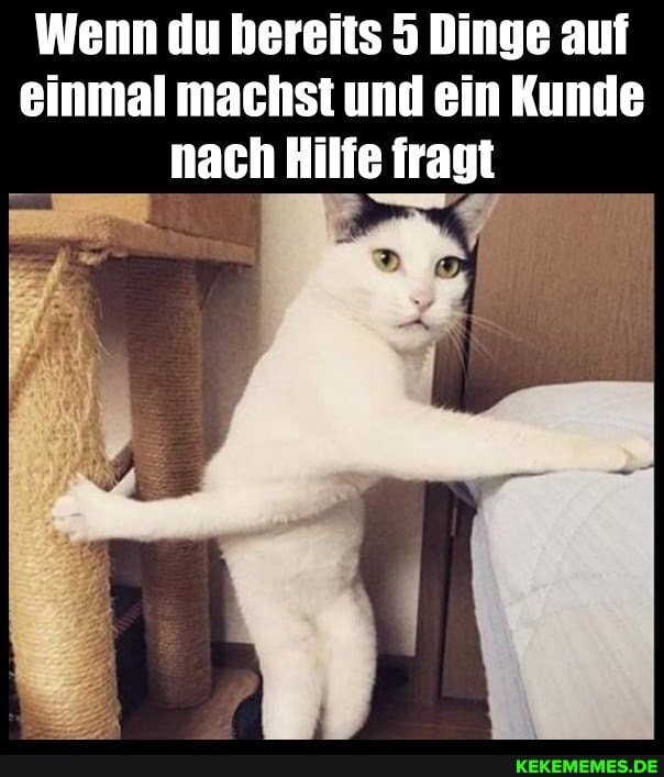 Wenn du bereits 5 Dinge auf einmal machst und ein Kunde nach Hilfe fragt