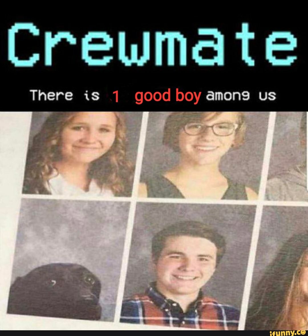 te
There is good boy amons us
