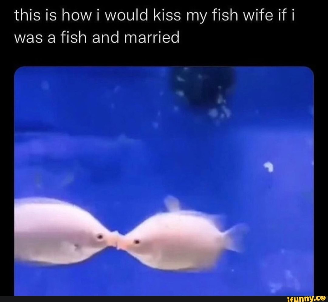 this-is-how-i-would-kiss-my-fish-wife-if-was-a-fish-and-married-ifunny