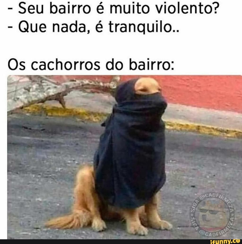 Seu bairro é muito violento?
Que nada, é tranquilo..
o cachorros do bairro:
