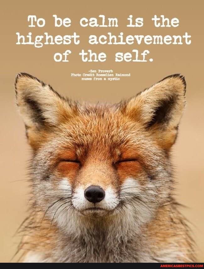 To be calm is the highest achievement of the self.