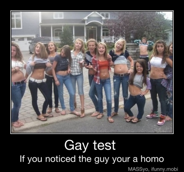 test are in your gay meme