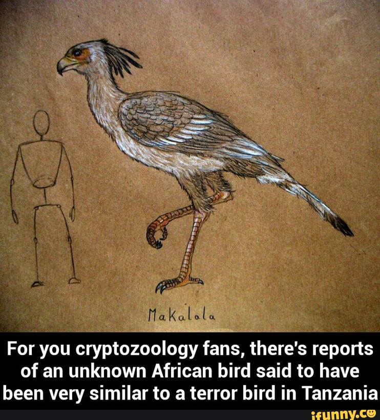 For you cryptozoology fans, there's reports
of an unknown African bird said to have
been very similar to a terror bird in Tanzania - For you cryptozoology fans, there's reports of an unknown African bird said to have been very similar to a terror bird in Tanzania