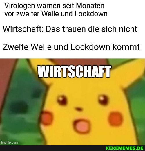 Virologen warnen seit Monaten vor zweiter Welle und Lockdown
Wirtschaft: Das trauen die sich nicht
Zweite Welle und Lockdown kommt
WIRTSCHAFT