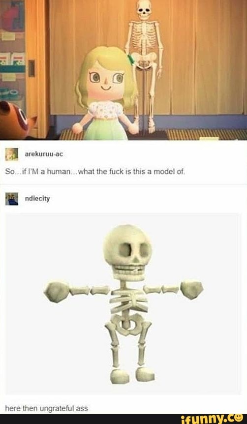 EM orekuruu-ac
So...if IM a human...what the fuck is this a model of.
E ndiecity