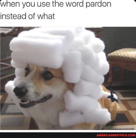 when you use the word pardon instead of what