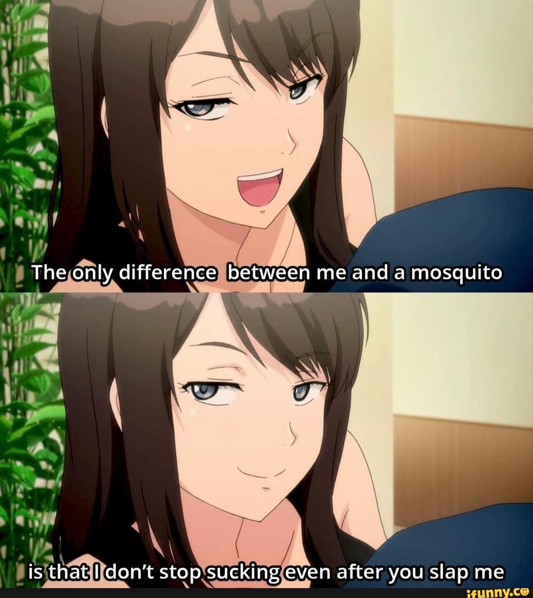 The Only Difference Between Me And A Mosquito Is That I Dont Stop