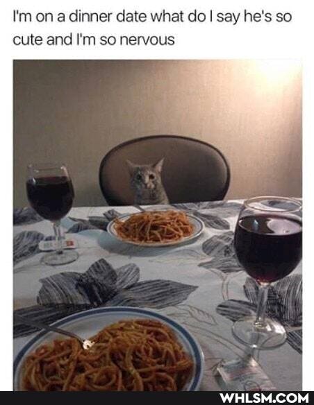 I'm on a dinner date what do I say he's so cute and I'm so nervous