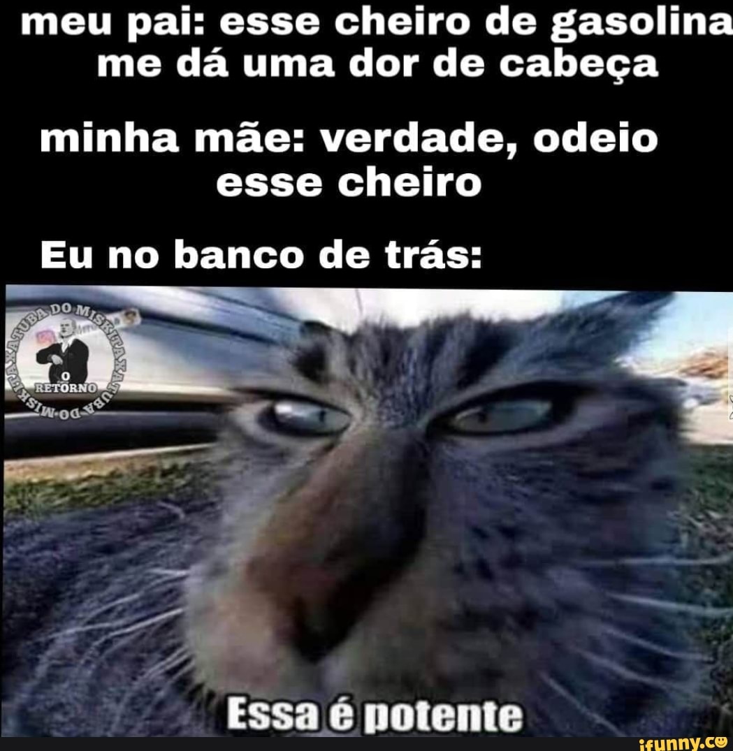 meu pai: esse cheiro de gasolina
me dá uma dor de cabeça
minha mãe: verdade, odeio
esse cheiro
Eu no banco de trás:
Essa é potente